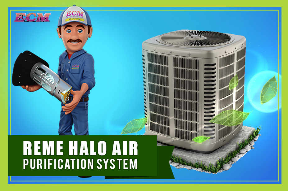 Breathe Easier with the Reme Halo Air Purification System