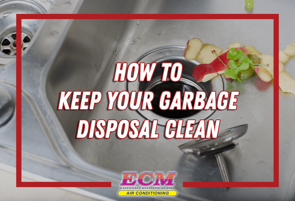 How to Keep Your Garbage Disposal Clean ECM Air Conditioning