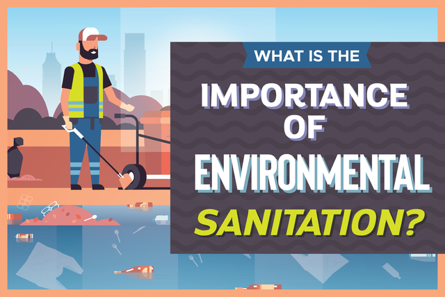 importance of environmental sanitation essay